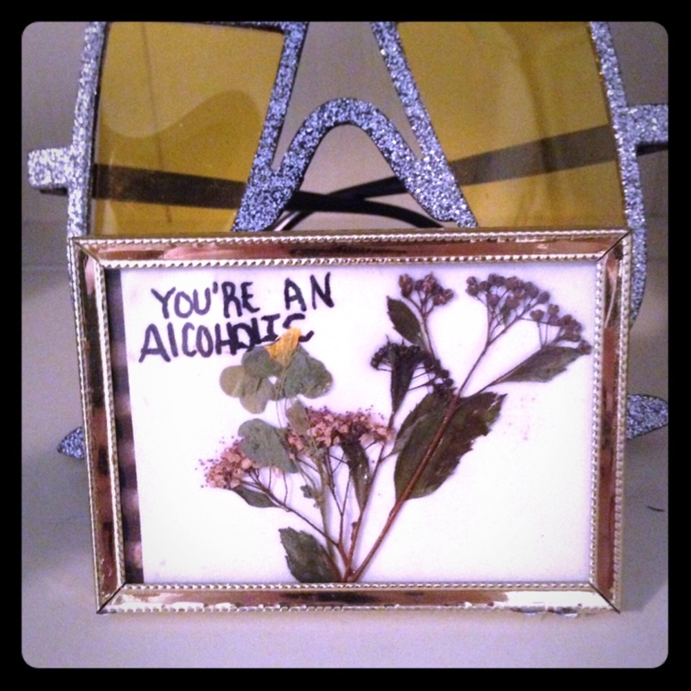 Framed pressed flowers